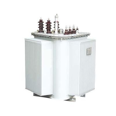 Ölgeschützter Transformator 10/0.4KV 30-1600KVA S13 S14 HFR